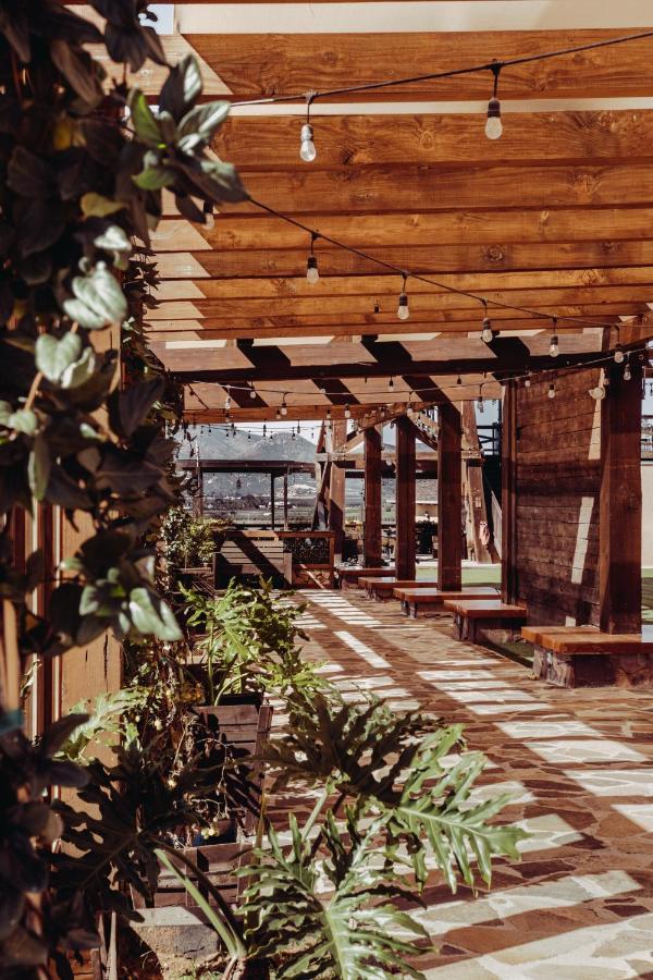 Finca El Mirador Valle de Guadalupe Exterior photo