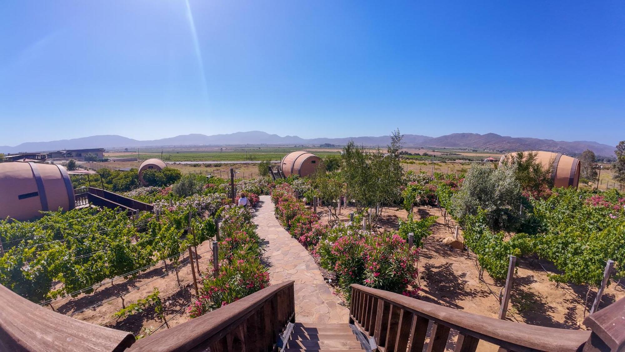 Finca El Mirador Valle de Guadalupe Exterior photo